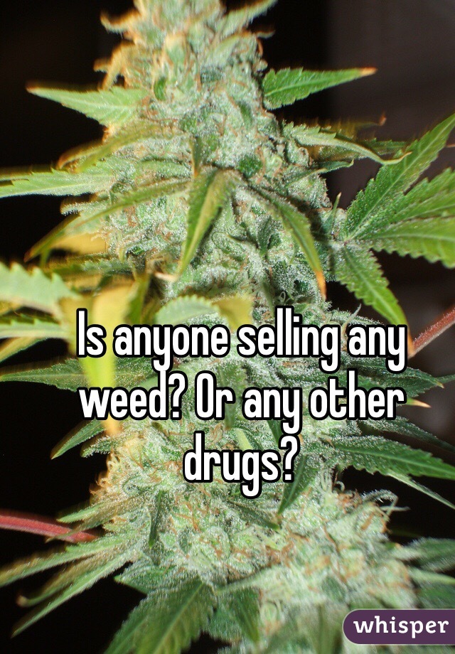 Is anyone selling any weed? Or any other drugs?