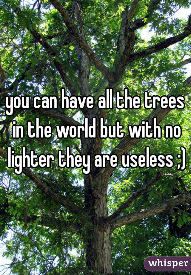you can have all the trees in the world but with no lighter they are useless ;)