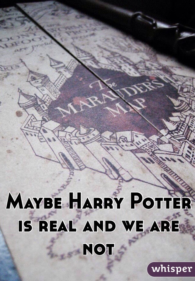 Maybe Harry Potter is real and we are not 