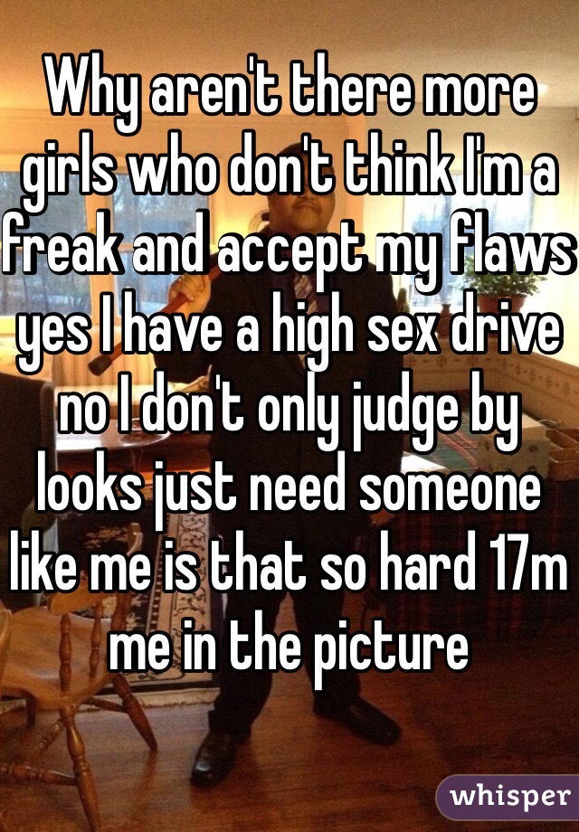 Why aren't there more girls who don't think I'm a freak and accept my flaws yes I have a high sex drive no I don't only judge by looks just need someone like me is that so hard 17m me in the picture 