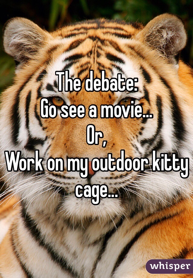 The debate:
Go see a movie...
Or,
Work on my outdoor kitty cage...