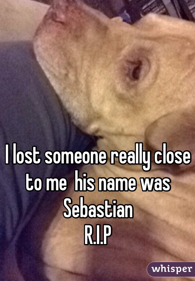 I lost someone really close to me  his name was Sebastian 
R.I.P