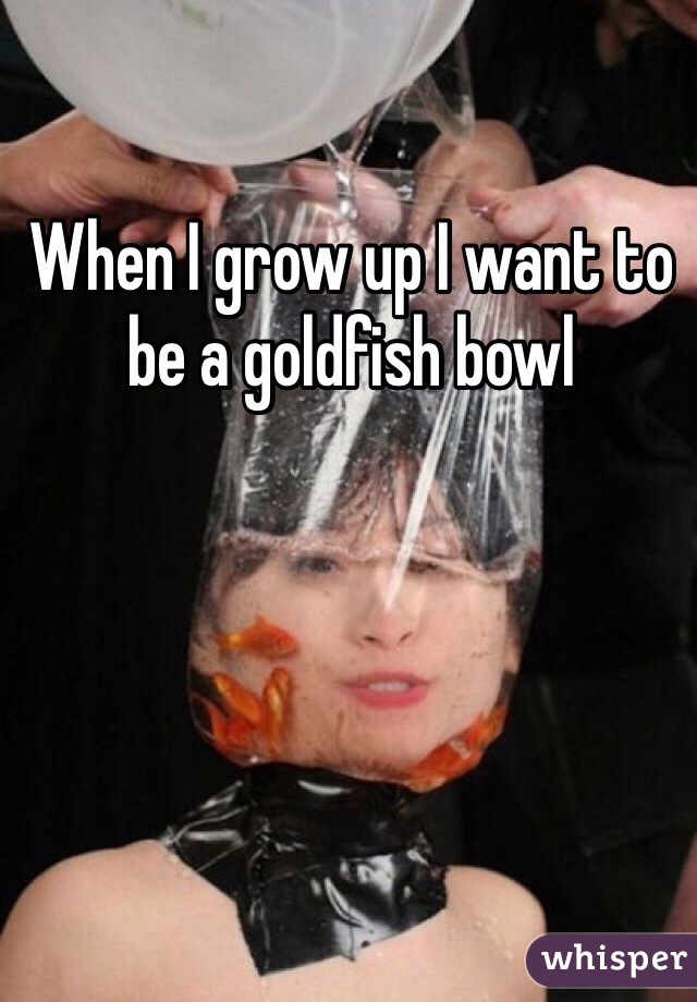 When I grow up I want to be a goldfish bowl 
