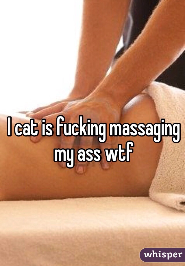 I cat is fucking massaging my ass wtf 
