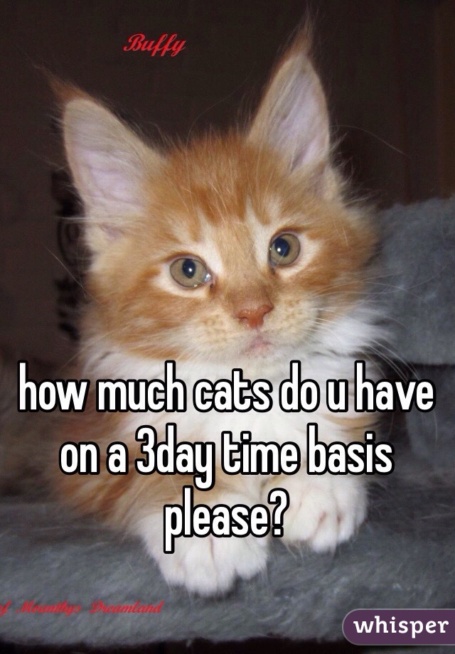 how much cats do u have on a 3day time basis please?