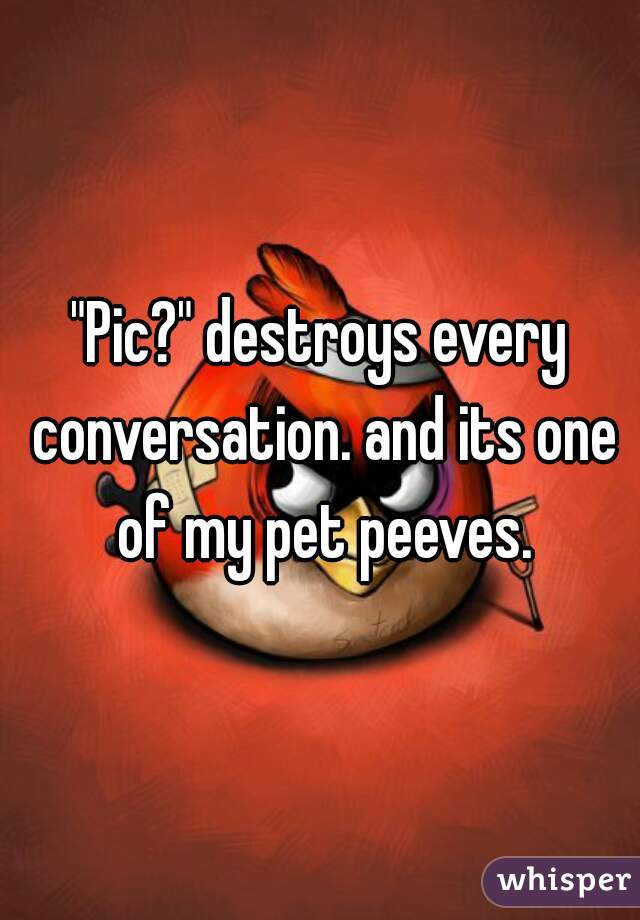 "Pic?" destroys every conversation. and its one of my pet peeves.
