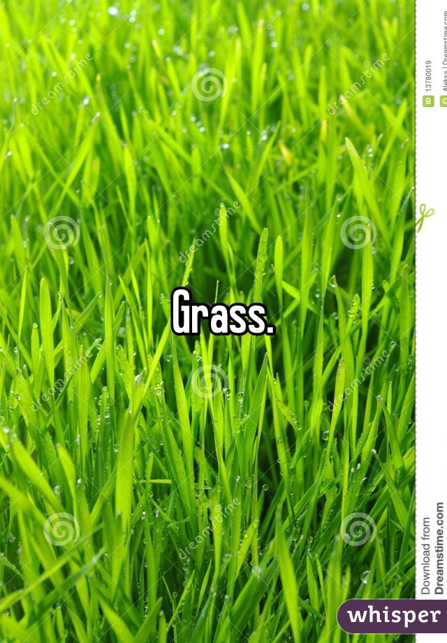 Grass. 