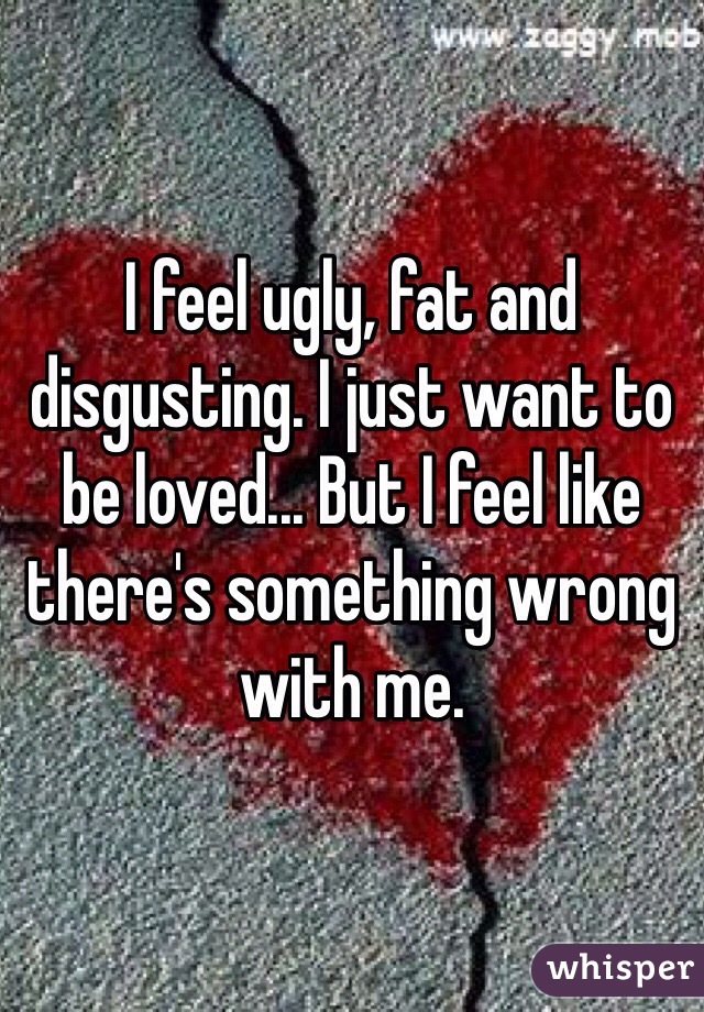 I feel ugly, fat and disgusting. I just want to be loved... But I feel like there's something wrong with me.
