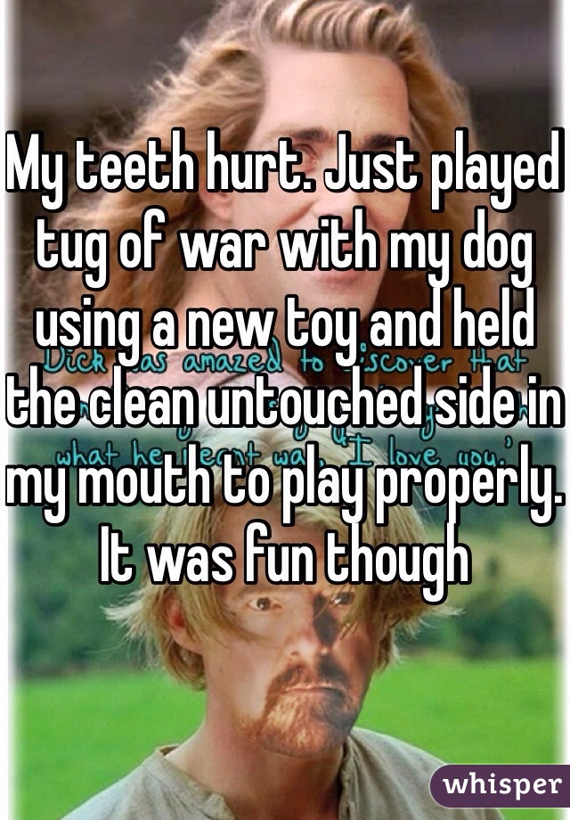 My teeth hurt. Just played tug of war with my dog using a new toy and held the clean untouched side in my mouth to play properly. It was fun though