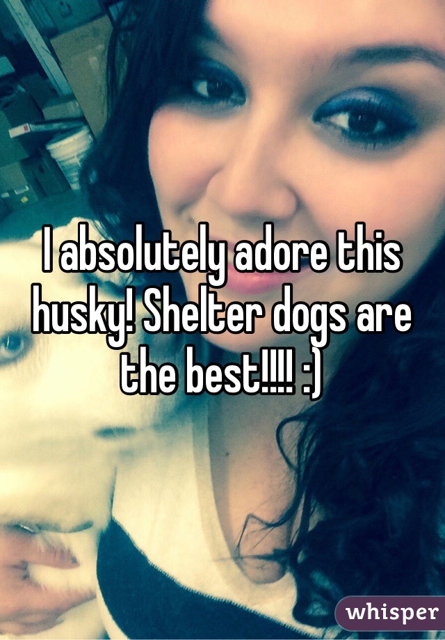 I absolutely adore this husky! Shelter dogs are the best!!!! :)