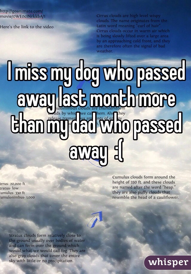 I miss my dog who passed away last month more than my dad who passed away  :(