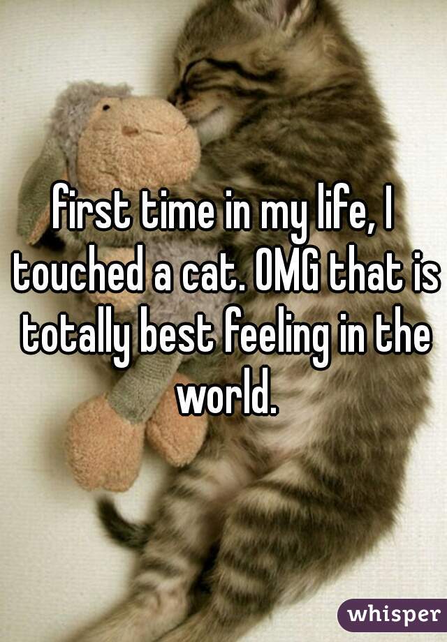 first time in my life, I touched a cat. OMG that is totally best feeling in the world.