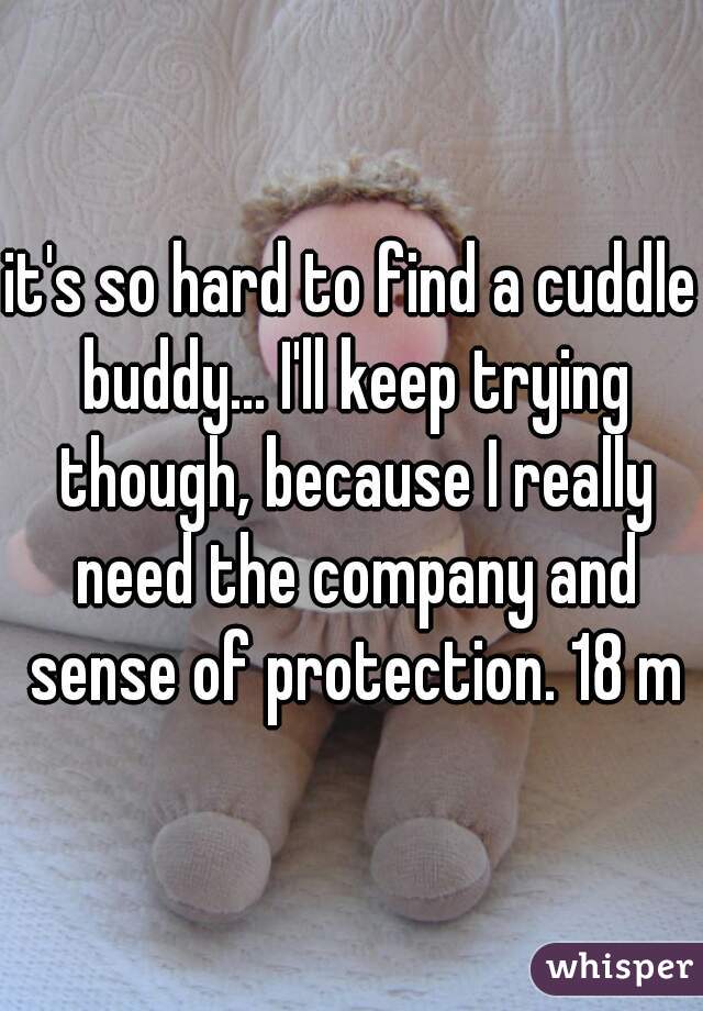 it's so hard to find a cuddle buddy... I'll keep trying though, because I really need the company and sense of protection. 18 m