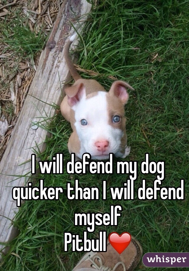 I will defend my dog quicker than I will defend myself
Pitbull❤️