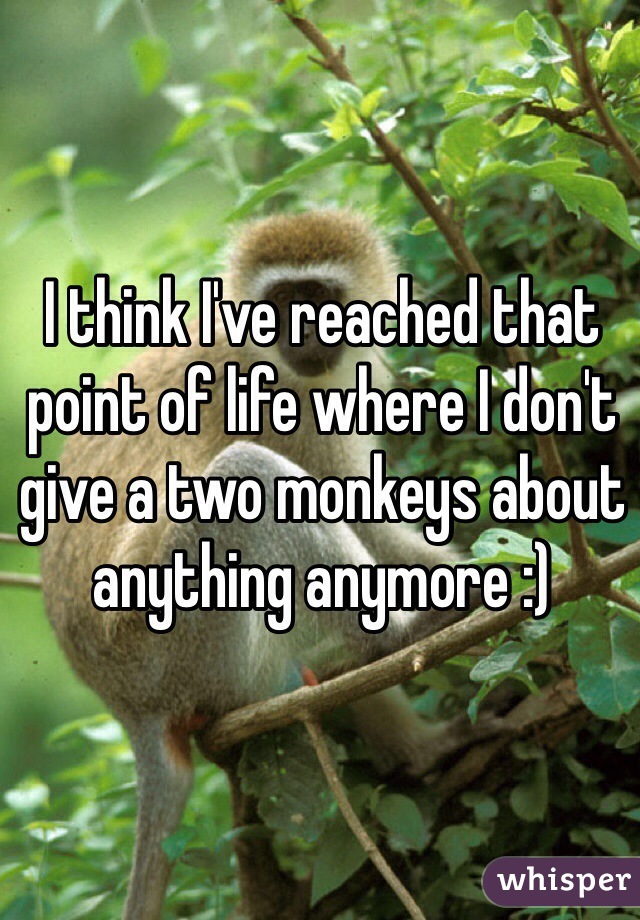 I think I've reached that point of life where I don't give a two monkeys about anything anymore :) 
