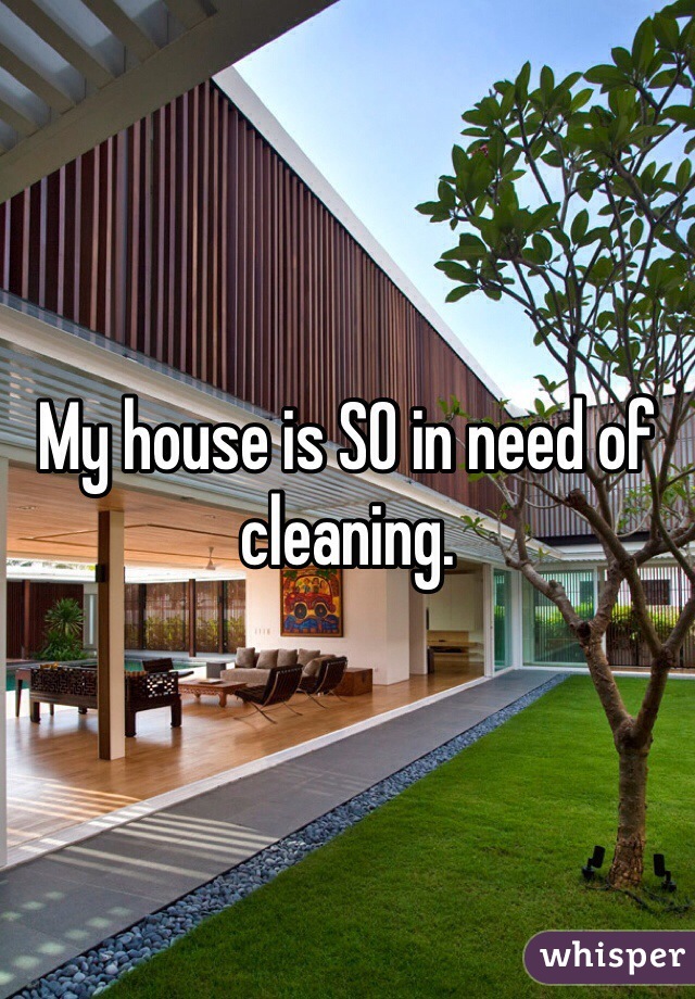 My house is SO in need of cleaning. 