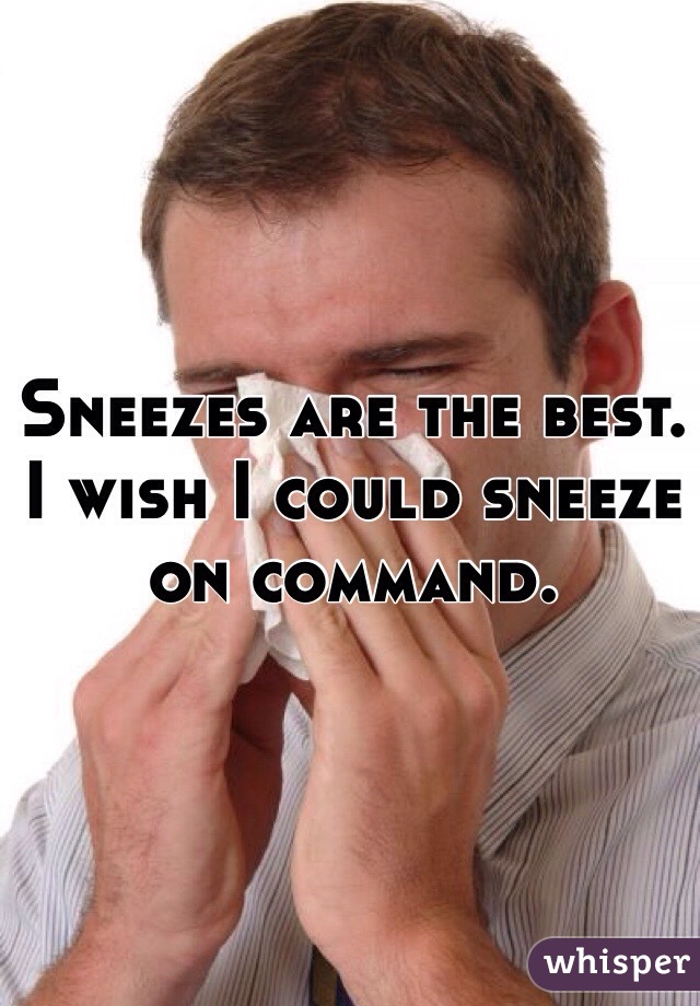 Sneezes are the best. I wish I could sneeze on command.