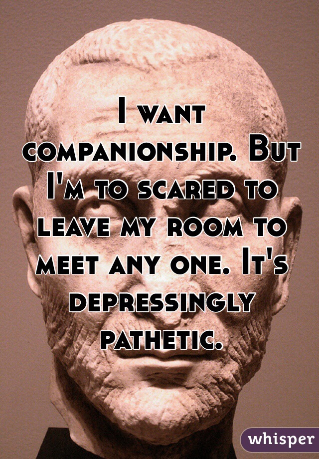 I want companionship. But I'm to scared to leave my room to meet any one. It's depressingly pathetic. 