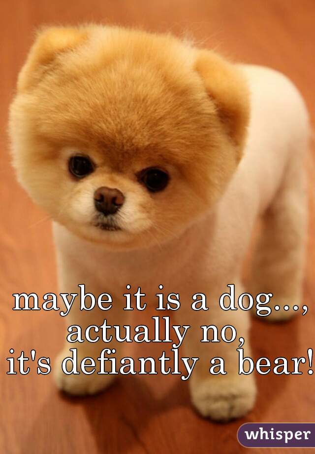 maybe it is a dog...,
actually no, 
it's defiantly a bear! 
 