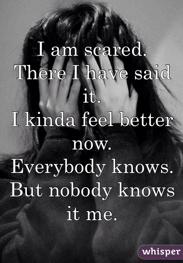I am scared.
There I have said it.
I kinda feel better now.
Everybody knows.
But nobody knows it me.