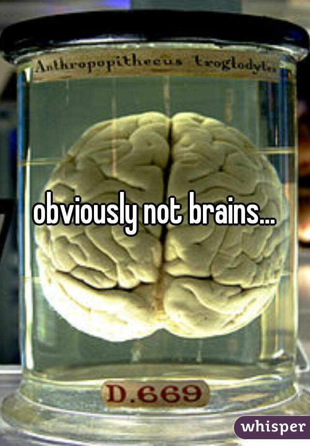 obviously not brains...