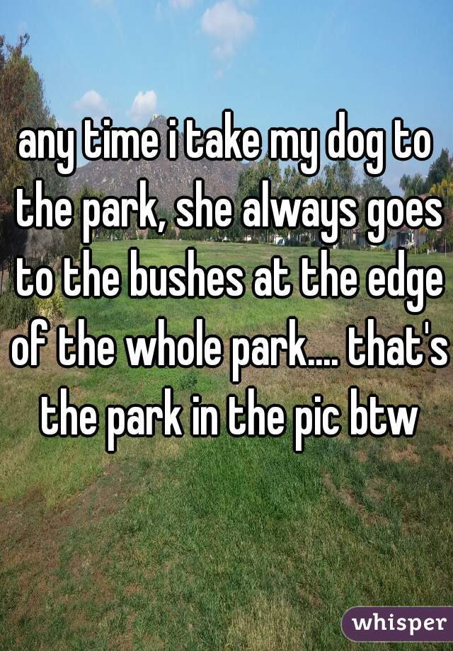any time i take my dog to the park, she always goes to the bushes at the edge of the whole park.... that's the park in the pic btw