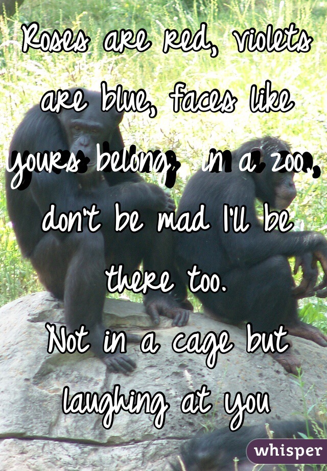 Roses are red, violets are blue, faces like yours belong  in a zoo, don't be mad I'll be there too.
Not in a cage but laughing at you