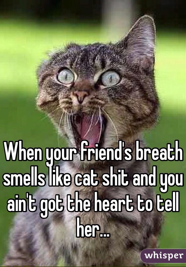 When your friend's breath smells like cat shit and you ain't got the heart to tell her...