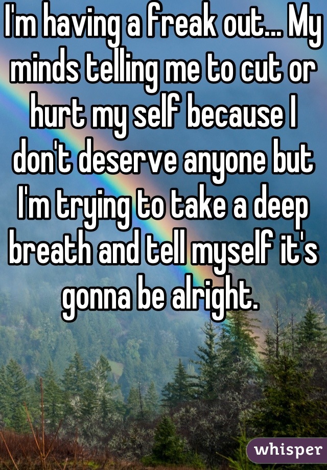 I'm having a freak out... My minds telling me to cut or hurt my self because I don't deserve anyone but I'm trying to take a deep breath and tell myself it's gonna be alright. 