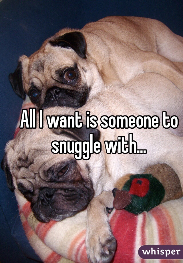 All I want is someone to snuggle with...