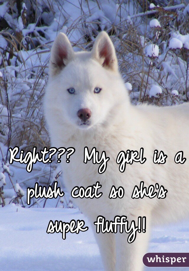 Right??? My girl is a plush coat so she's super fluffy!!