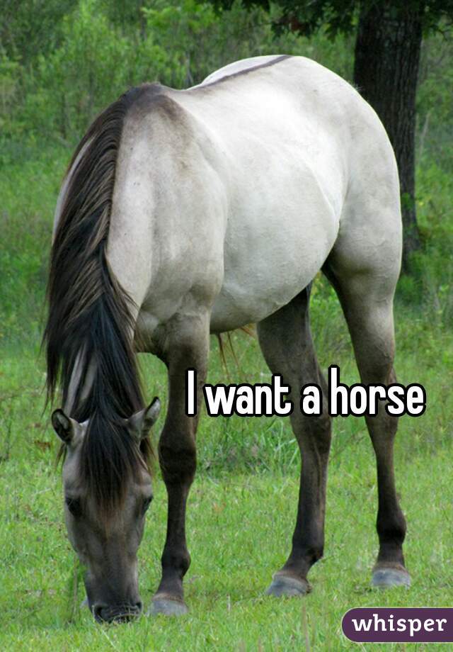 I want a horse 