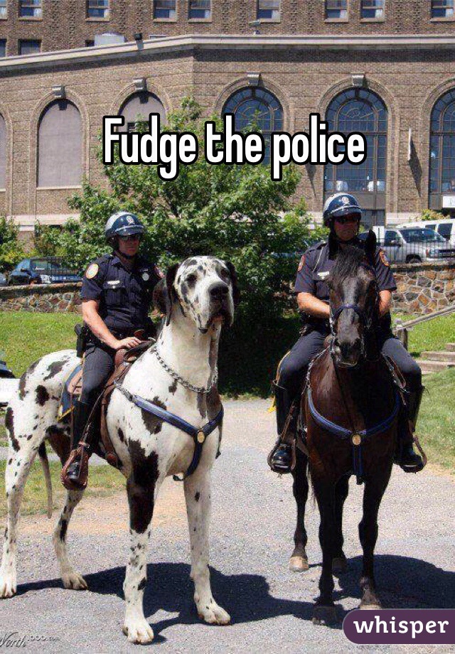 Fudge the police 