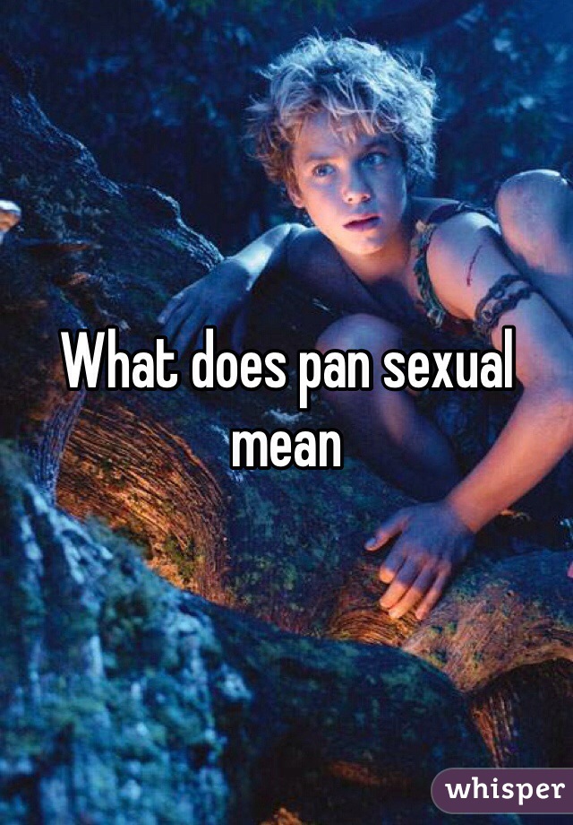 What does pan sexual mean