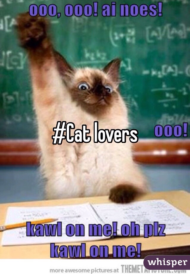 #Cat lovers