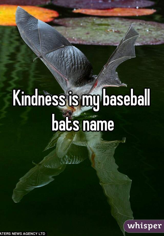 Kindness is my baseball bats name