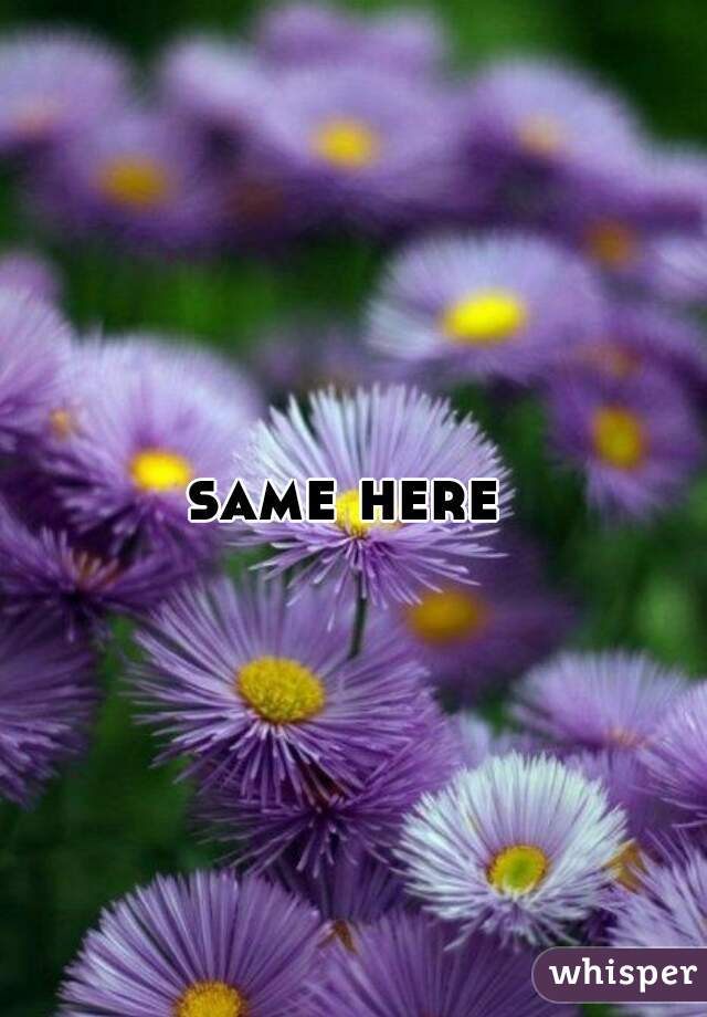 same-here