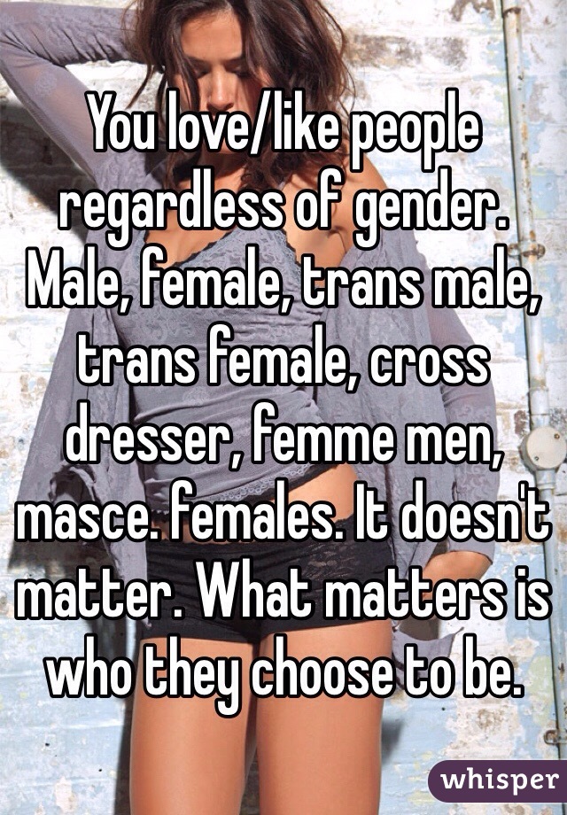 You love/like people regardless of gender. Male, female, trans male, trans female, cross dresser, femme men, masce. females. It doesn't matter. What matters is who they choose to be. 