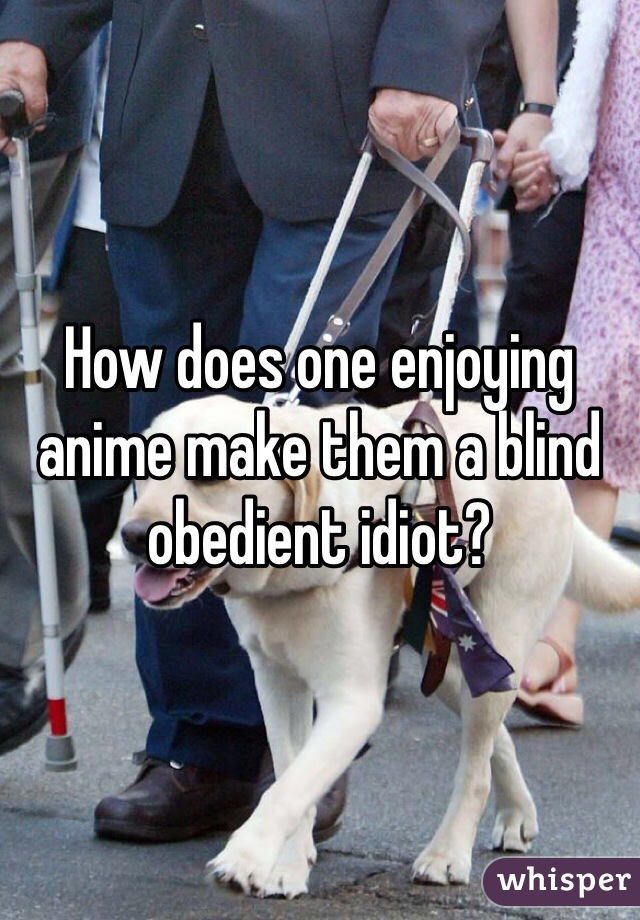 How does one enjoying anime make them a blind obedient idiot?