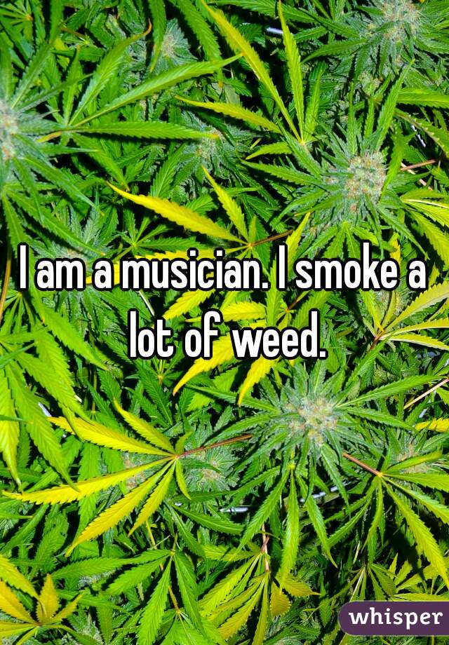 I am a musician. I smoke a lot of weed.