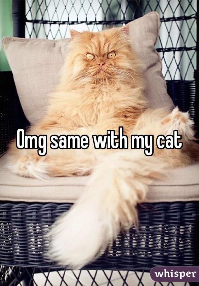 Omg same with my cat