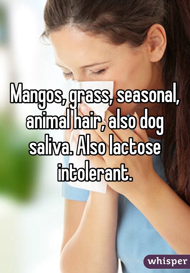 Mangos, grass, seasonal, animal hair, also dog saliva. Also lactose intolerant. 