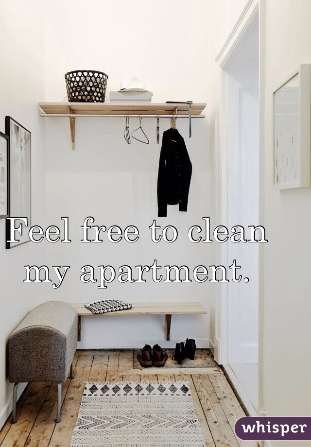 Feel free to clean my apartment. 