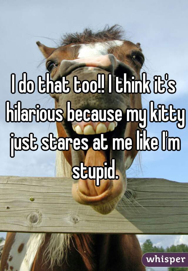 I do that too!! I think it's hilarious because my kitty just stares at me like I'm stupid.
