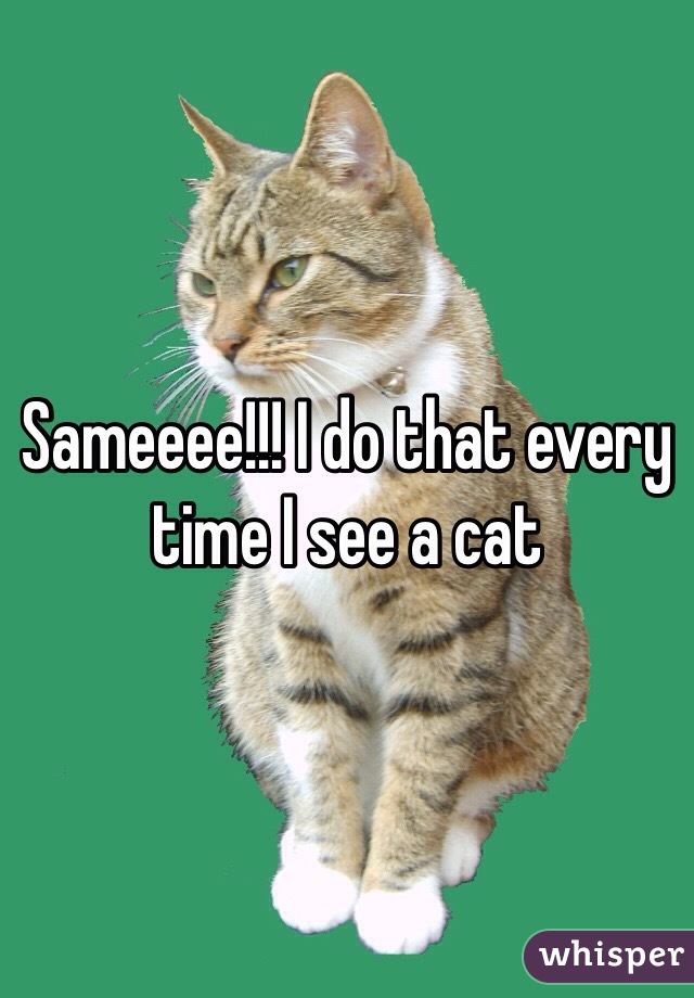 Sameeee!!! I do that every time I see a cat