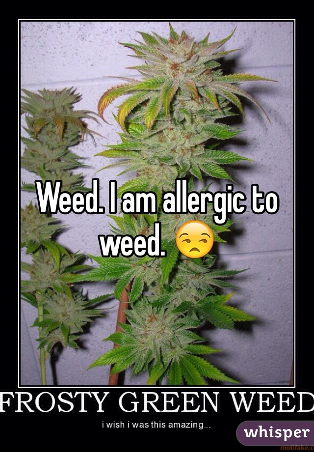 Weed. I am allergic to weed. 😒 