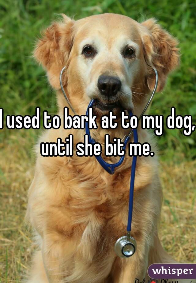 I used to bark at to my dog, until she bit me. 