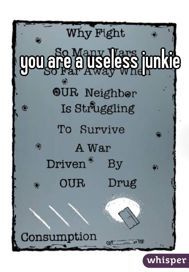 you are a useless junkie