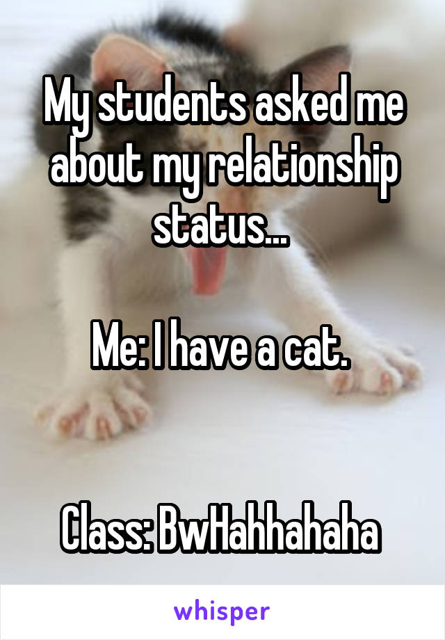 My students asked me about my relationship status... 

Me: I have a cat. 


Class: BwHahhahaha 