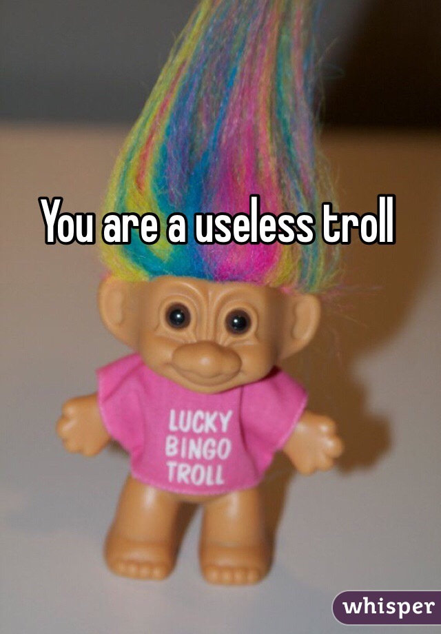 You are a useless troll